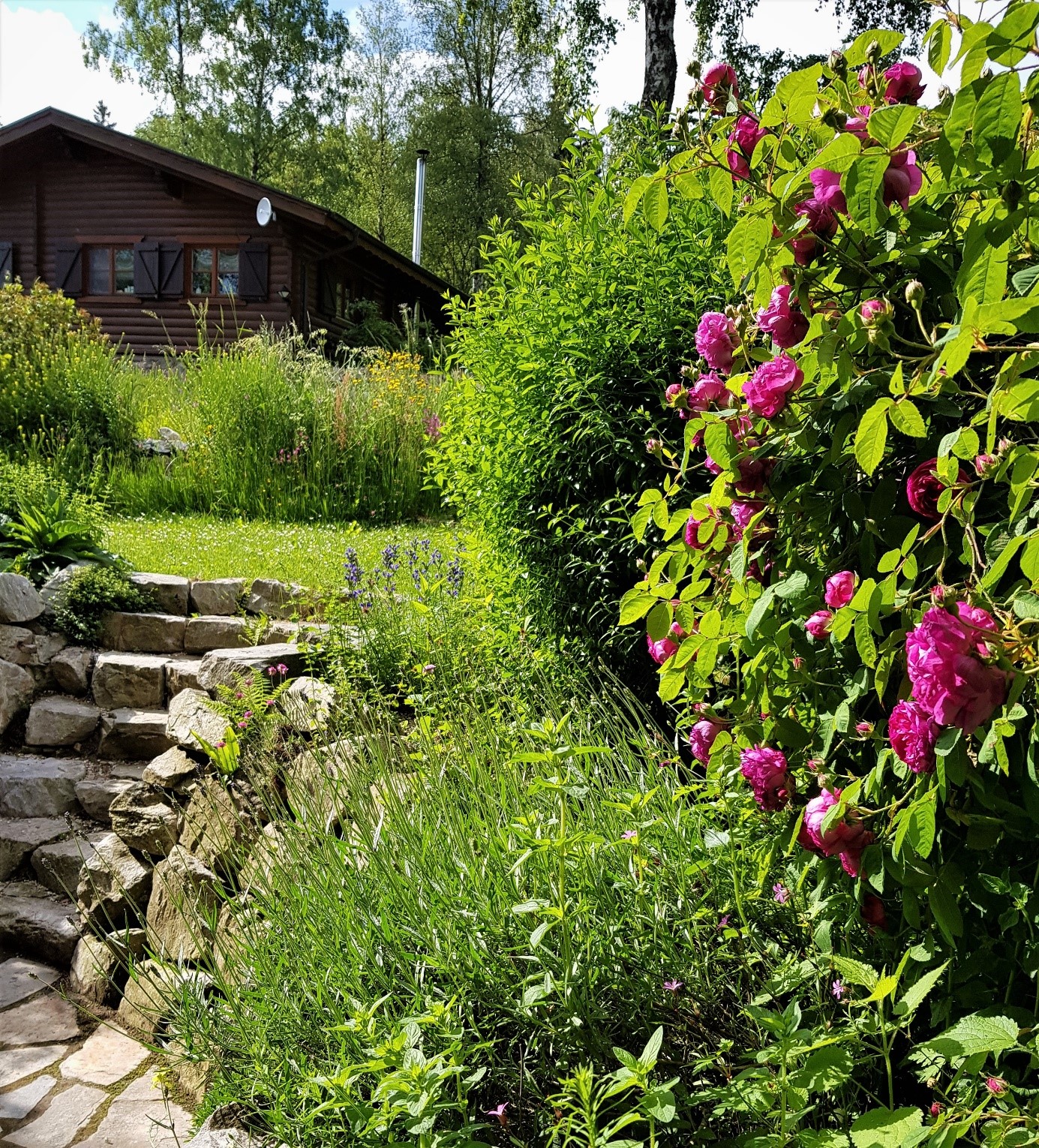 dry stone wall with stairs