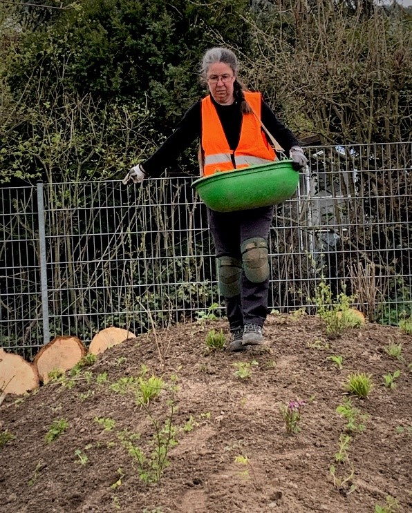 Simone Kilian, sowing of wildflowers for seam in the shade