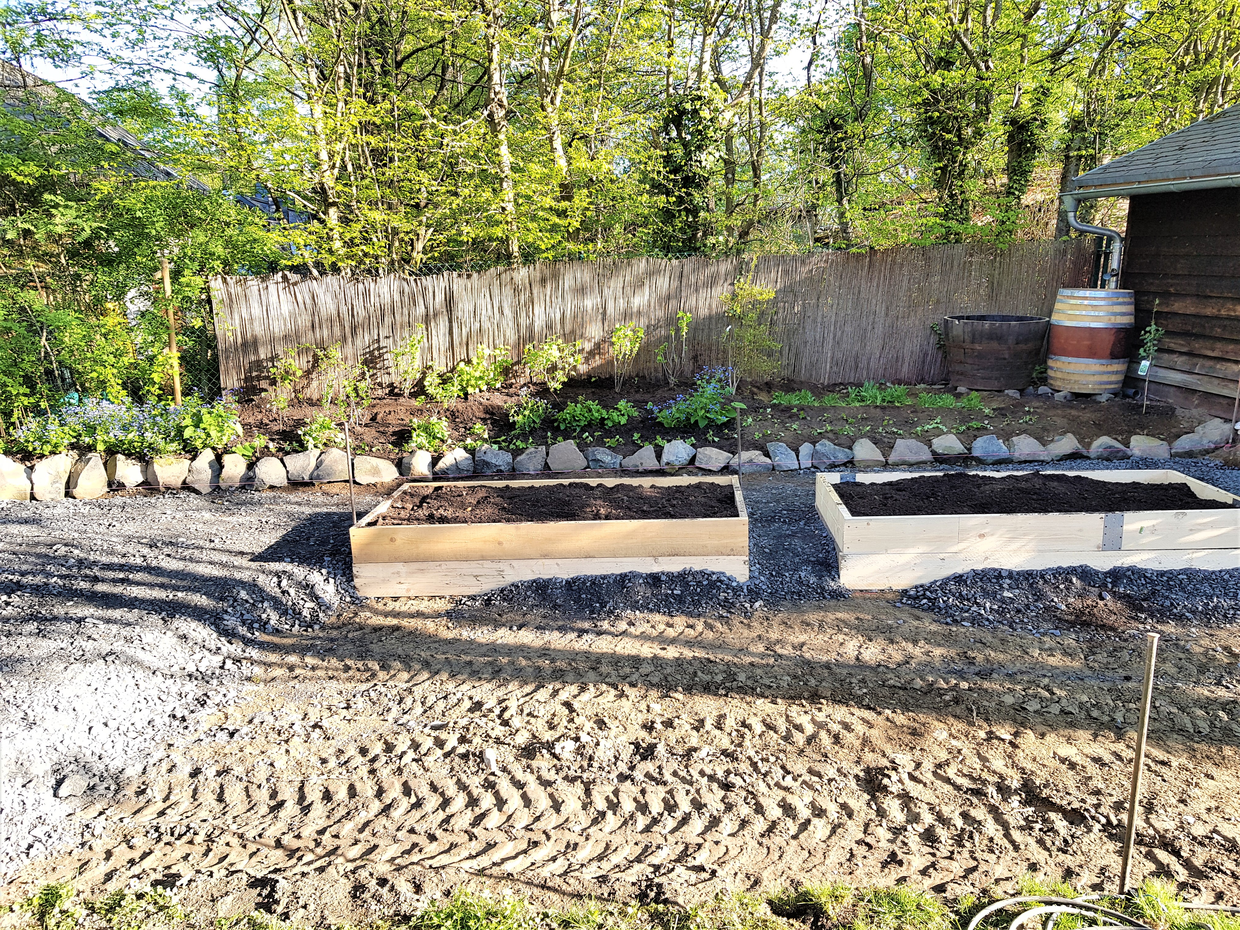 ud3 Waldlichtung Blumenschotterrasen um Gemsebeete entsteht